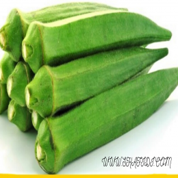 SBJEI-FRESH  LADIES FINGER